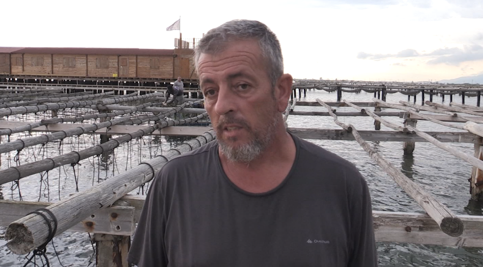 Les altes temperatures provoquen una mortaldat del musclo del Delta sense precedents