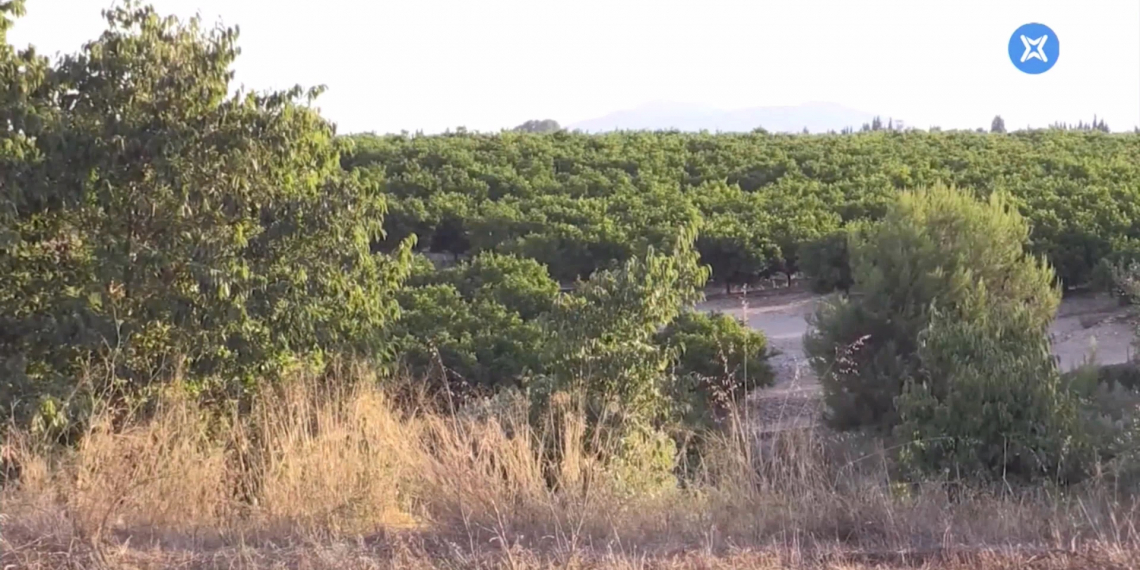 Ulldecona mou fitxa per acabar amb els sorolls del canons anticalamarsa de Sant Rafel del Riu