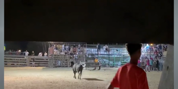 Prou Correbous difon imatges d’un incident als Muntells