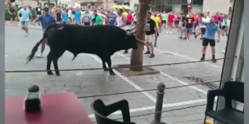 ACTYMA denuncia davant de la Generalitat el ‘descontrol’ durant els correbous de la Ràpita