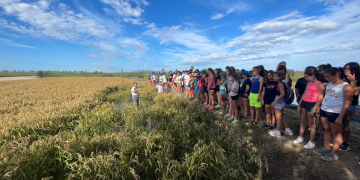 Els més petits de Deltebre aprenen les tradicions del cultiu de l’arròs