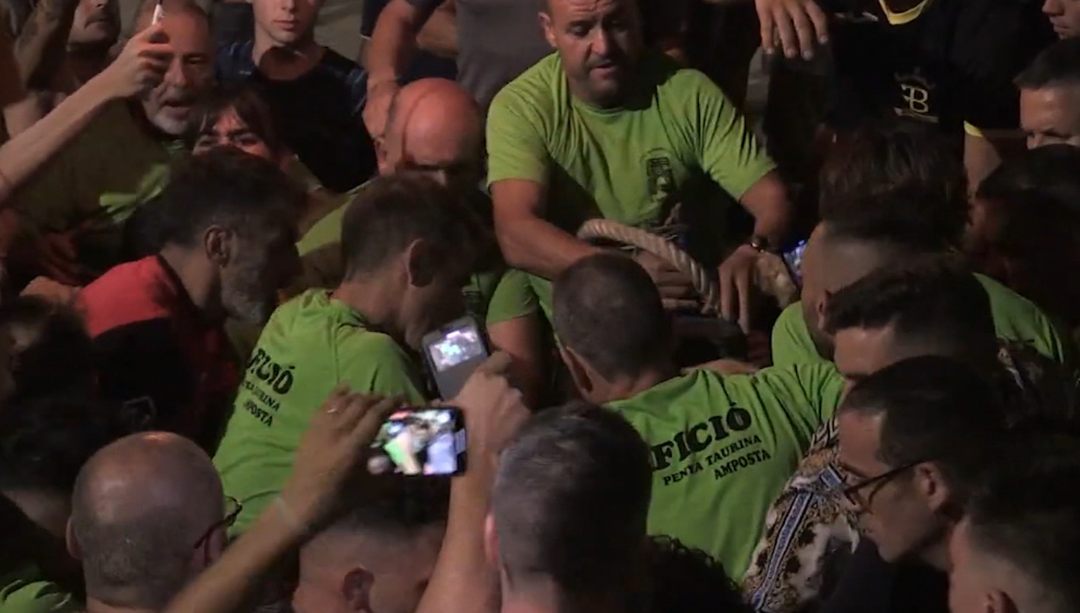 Denuncien correbous a Amposta, l’Aldea i Lligallo del Gànguil per suposat maltractament animal