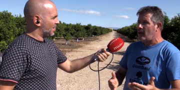 La superpoblació de conills del Baix Ebre i Montsià, al #PrimeraColumna