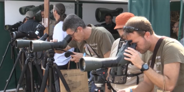 El delta de l’Ebre acull el DBF, la fira ornitològica més important del Mediterrani