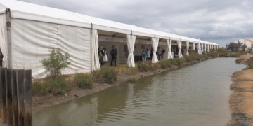 Més d’un centenar de propostes a la vuitena edició del Delta Birding Festival