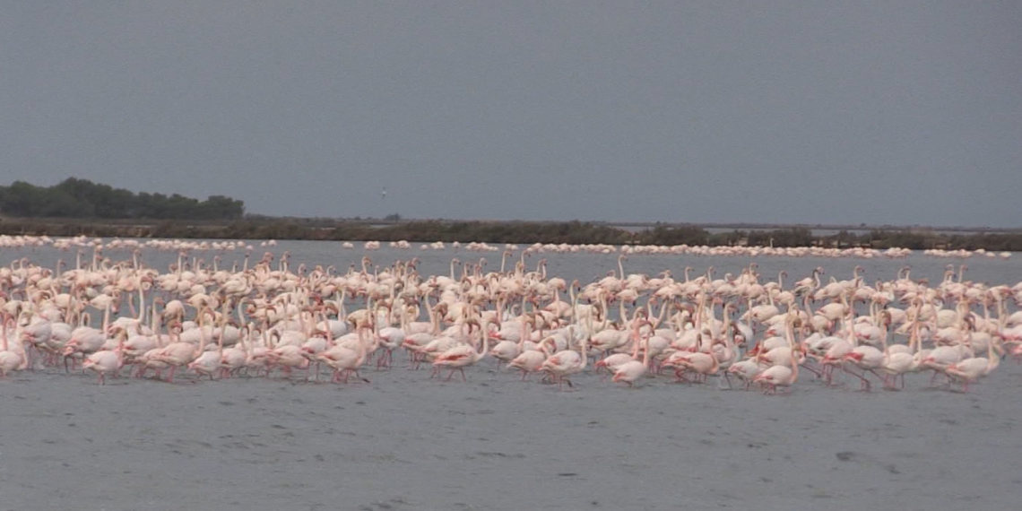 Les Terres de l’Ebre, dintre de les 100 millors destinacions sostenibles per setè any consecutiu