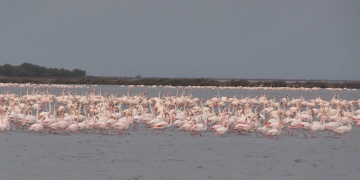 Les Terres de l’Ebre, dintre de les 100 millors destinacions sostenibles per setè any consecutiu