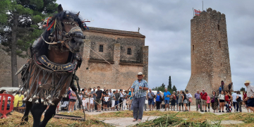 Festa de la Sega de l’Arròs de l’Aldea