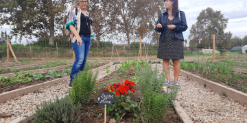 Una dotzena de persones cultivaran un hort comunitari a Amposta