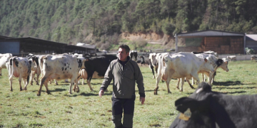 La coproducció de Canal 21 Ebre amb la Xarxa, ‘De Sol a Sol’, finalista del Zoom Festival 2022