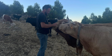 La Ribera d’Ebre, un aparador de la pagesia durant la festa de Benvinguts a Pagès