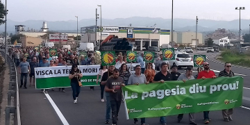 Uns 200 pagesos tallen la C-12 a Tortosa per denunciar les dificultats en la crema de poda