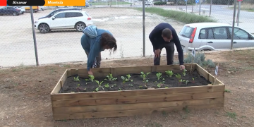 Usuaris de la Fundació Pere Mata rehabiliten el pati de l’escola Joan Baptista Serra d’Alcanar