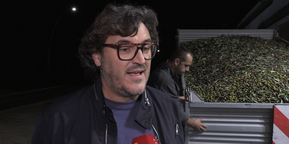 Les cooperatives estimen una caiguda de fins al 50% de la producció d’oliva