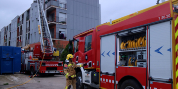 Final feliç per als animals rescatats d’un pis en flames a Amposta