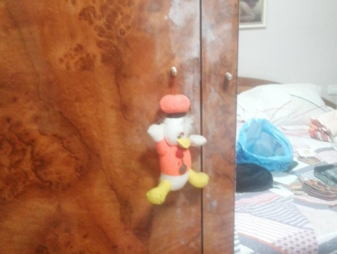 Assalten una dona de 76 anys a casa seua, a Tortosa