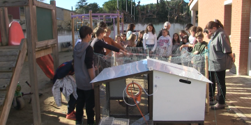 L’escola de Miravet aprèn amb el 5G a través de l’Internet de les Coses