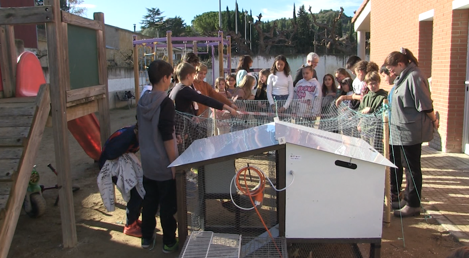 L’escola de Miravet aprèn amb el 5G a través de l’Internet de les Coses