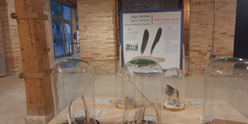 El Museu de la Mar de l’Ebre inaugura l’exposició ‘Mestres d’aixa de butxaca’