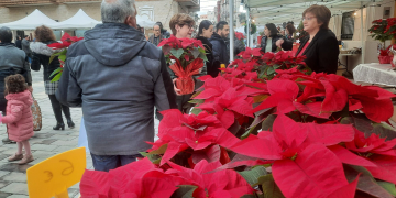 XXIV Mercat de Santa Llúcia d’Amposta