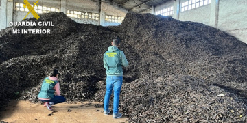 Detenen un home per robar prop de 8.000 quilos de garrofes al Perelló