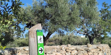 L’Ampolla renova la senyalització de la ruta en BTT pels jardins d’oliveres