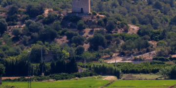 Les torres d’Amposta, Campredó i la Ràpita s’il·luminaran pels drets humans