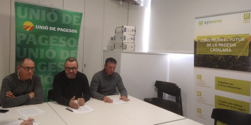 Els pagesos reclamen mesures urgents per reduir els danys dels senglars al camp de l’Ebre