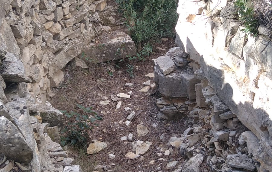 Demanen la recuperació de les restes de la Batalla de l’Ebre a la Punta del Cucut