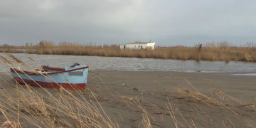 Tres anys del Glòria, un temporal que va marcar un abans i un després al delta de l’Ebre