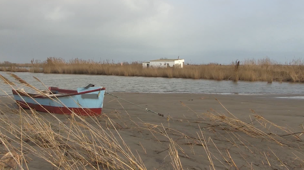 Tres anys del Glòria, un temporal que va marcar un abans i un després al delta de l’Ebre