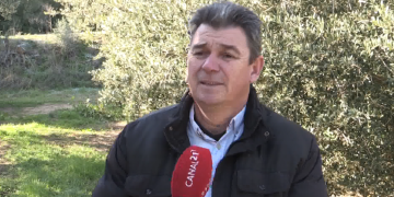 La Federació de Cooperatives Agràries de Catalunya celebra la licitació de la zona 1 del canal Xerta-Sénia