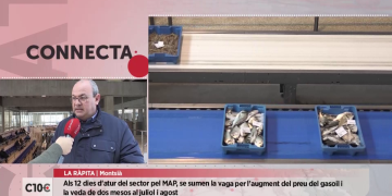 El port de la Ràpita factura 600.000  euros menys que el 2021 per l’aplicació del nou MAP