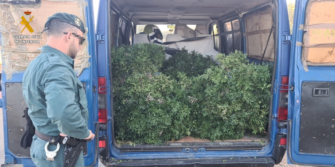 El Seprona tramita diverses denúncies per la recol·lecció de més de mitja tona de llentiscle al Perelló i l’Ampolla