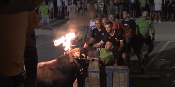 La festa dels bous a l’Ebre recupera la normalitat durant el 2022