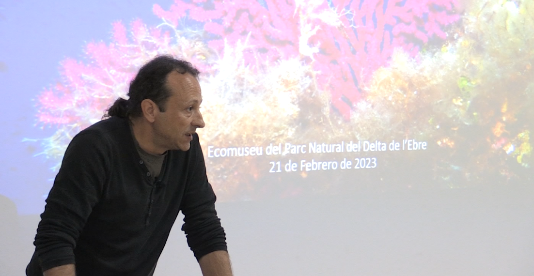 Científics proposen restringir la pesca a una part del delta de l’Ebre per recuperar l’hàbitat marí