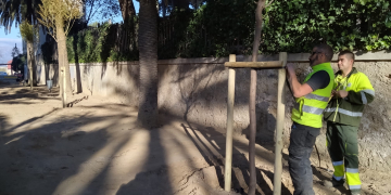 Renoven l’arbrat i el passeig del parc Teodor González que comunica la Via Verda amb la Generalitat