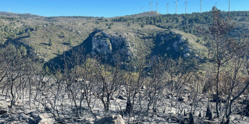La policia local de Tortosa deté un home per causar dos incendis aquest diumenge al vespre