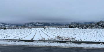Incidències mínimes a la Terra Alta en una nevada ‘idíl·lica’