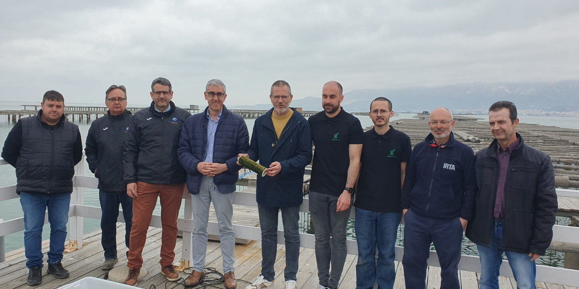 Incorporen el cultiu de macroalgues a les badies del delta de l’Ebre