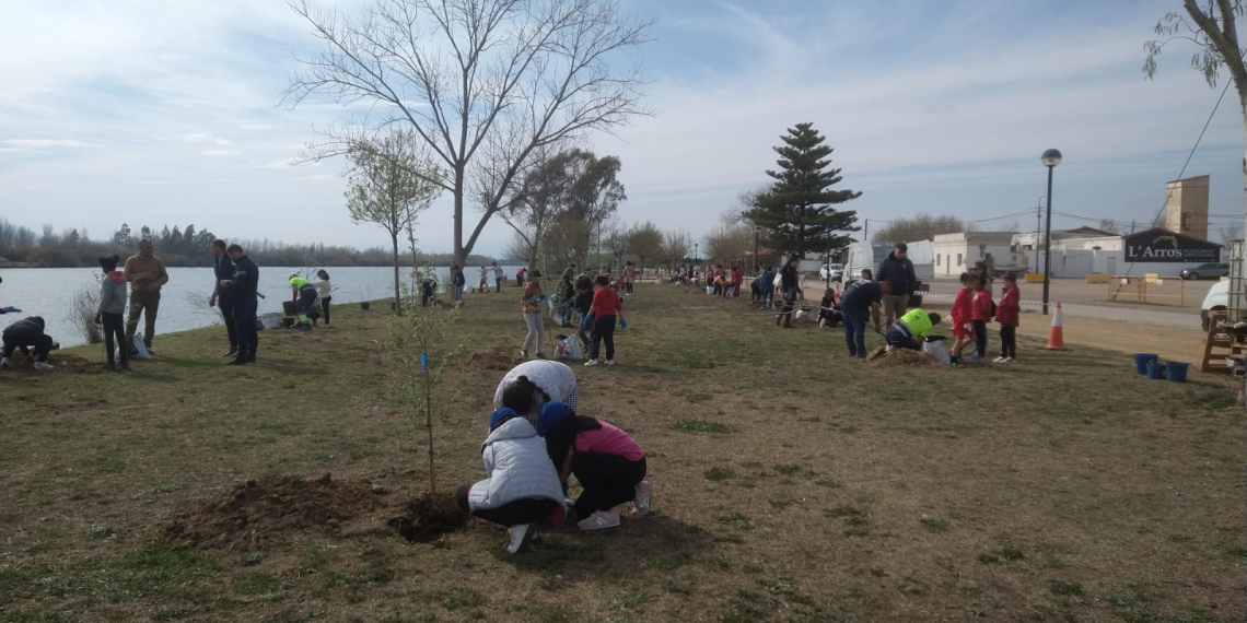 Deltebre planta 800 arbres en els últims quatre anys