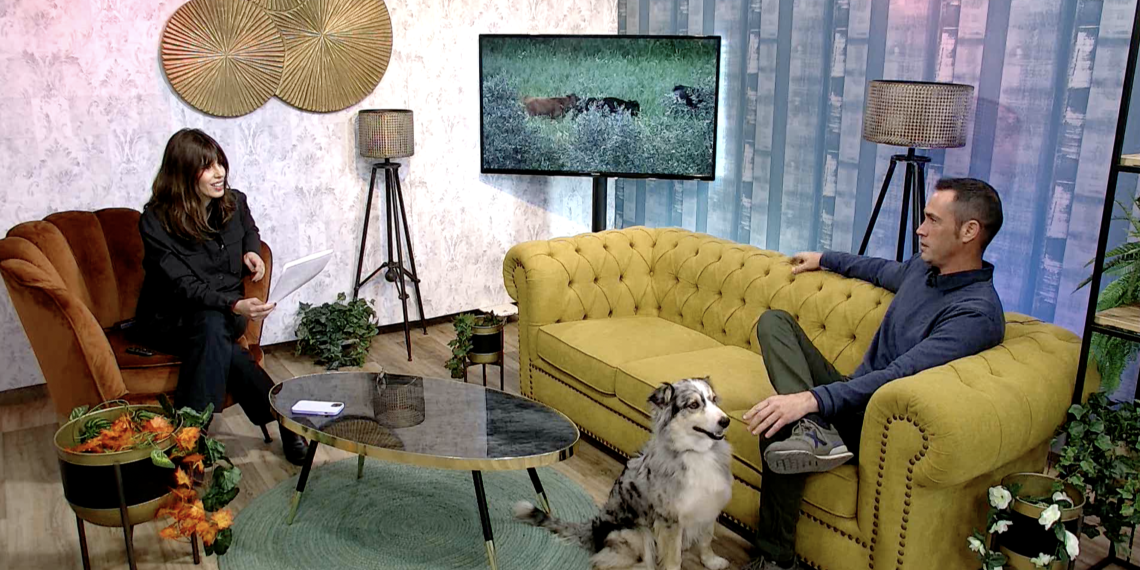 Districte 21 (03/03/2023)