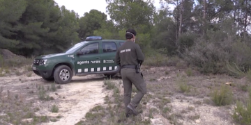 Comença la prohibició de fer foc sense autorització