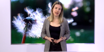 Parlem de les al·lèrgies a L’Informatiu de Canal 21 Ebre