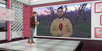 La Ribera en Flor suma la música i la poesia a les activitats tradicionals de les rutes pels camps florits