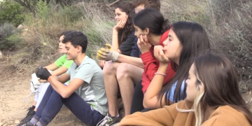 Les Terres de l’Ebre comptaran amb set camps de treball per al jovent