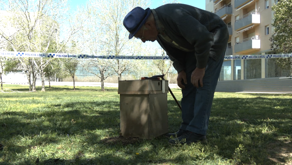 José Querol, l’home que salva les abelles a Tortosa