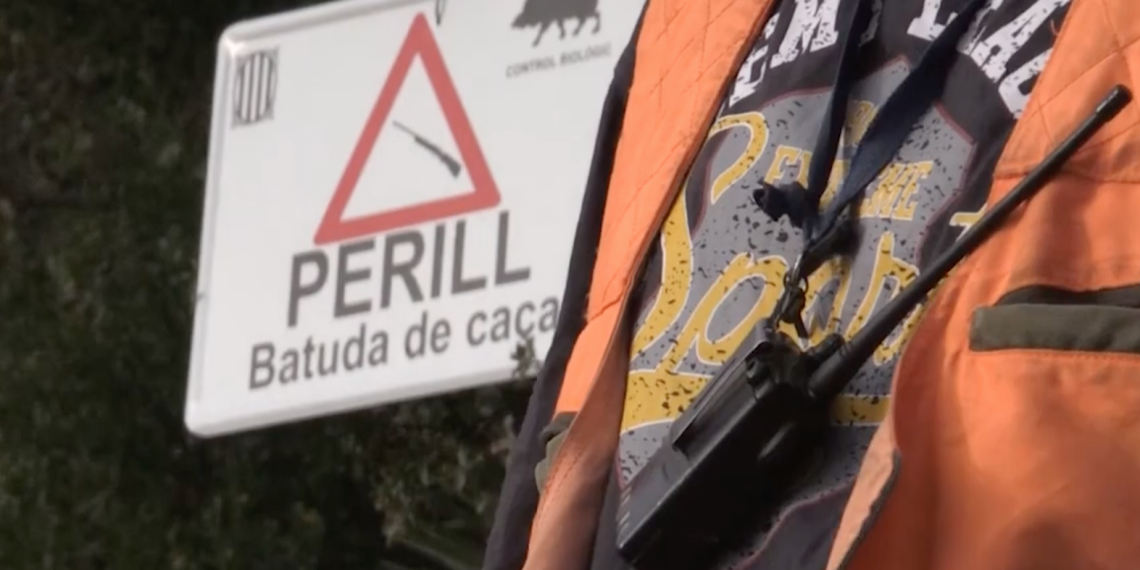 Els pagesos adverteixen que la reserva de caça dels Ports s’ha convertit en un reservori de senglars