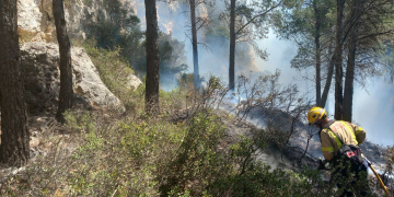 Estabilitzat l’incendi de la Serra de Pàndols a Gandesa
