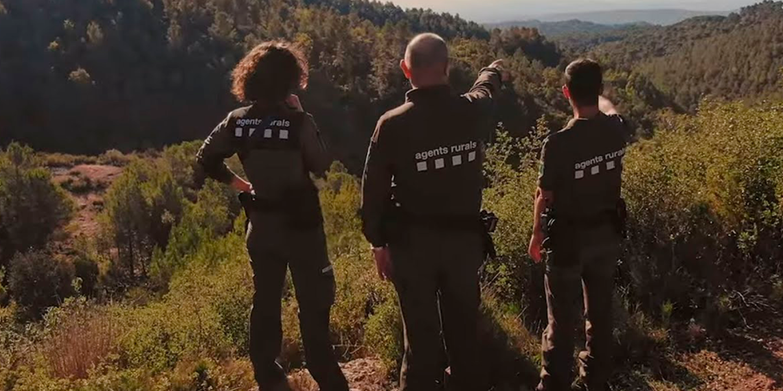 La gestió forestal, una eina cada vegada més essencial per l’extinció d’incendis